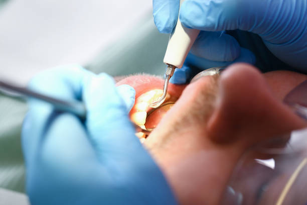 Best Pediatric Emergency Dentist in Leisure Village West, NJ